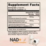 Ozelyt NAD+ Booster for Cellular Renewal & Daily Energy Support - Image 3