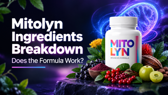 Mitolyn Ingredients Breakdown Does the Formula Work